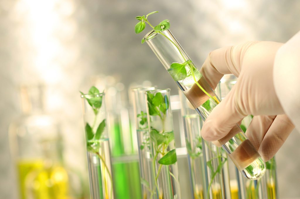 Qué es biotecnología 4 ¿Riesgos de gran magnitud?