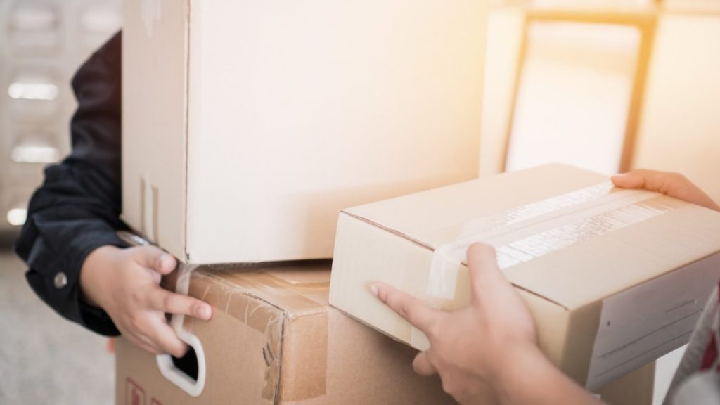 Celeritas, un servicio que responde a las necesidades