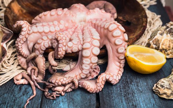 Cocinar la pata de pulpo