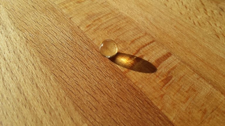 ¿Cuáles son los mejores complementos alimenticios naturales y dónde conseguirlos?