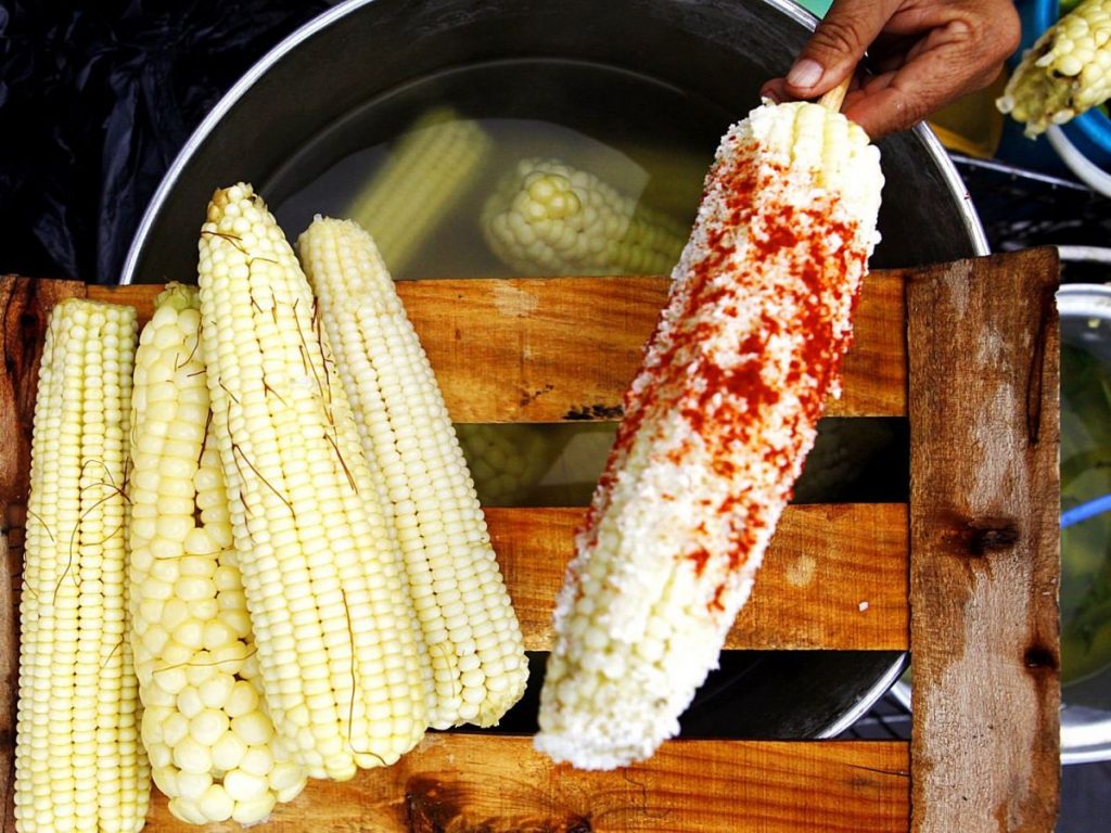 Elotes en la gastronomía del mundo