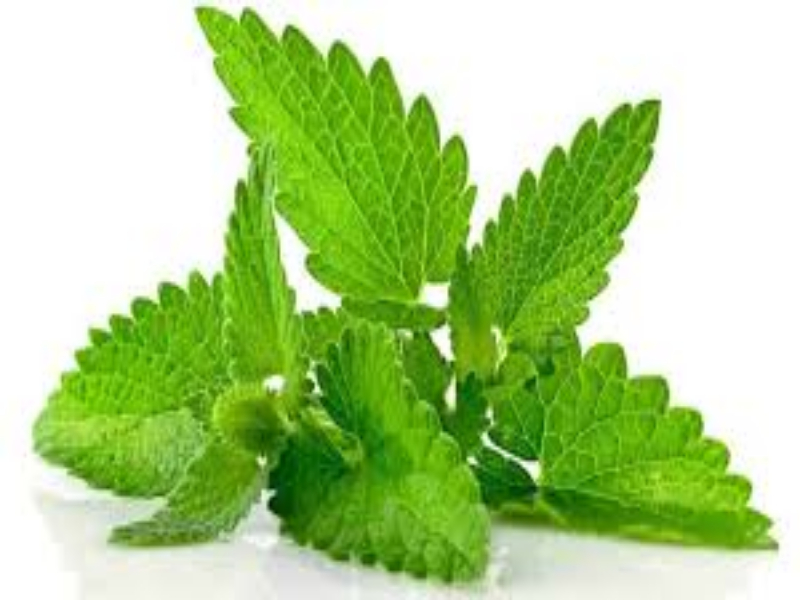 Cómo hacer una sopa de albóndigas deliciosa y nutritiva