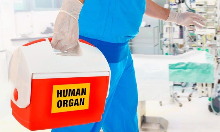 España ratifica el Convenio del Consejo de Europa contra el tráfico de órganos