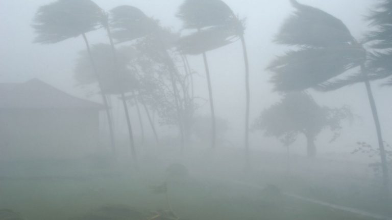 Cómo actuar ante un huracán