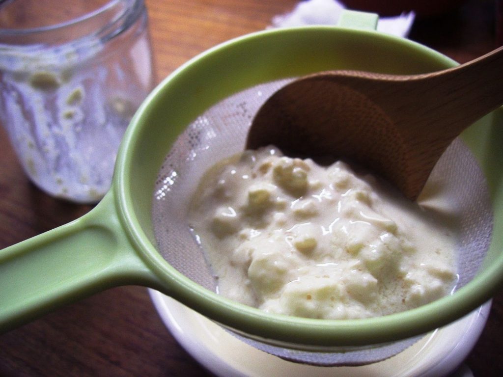 Cómo hacer un kéfir casero 2 Procedimiento de kéfir