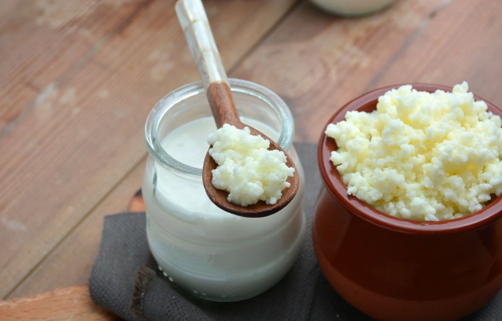 Cómo hacer un kéfir casero 3 Cómo hacer el kéfir de leche
