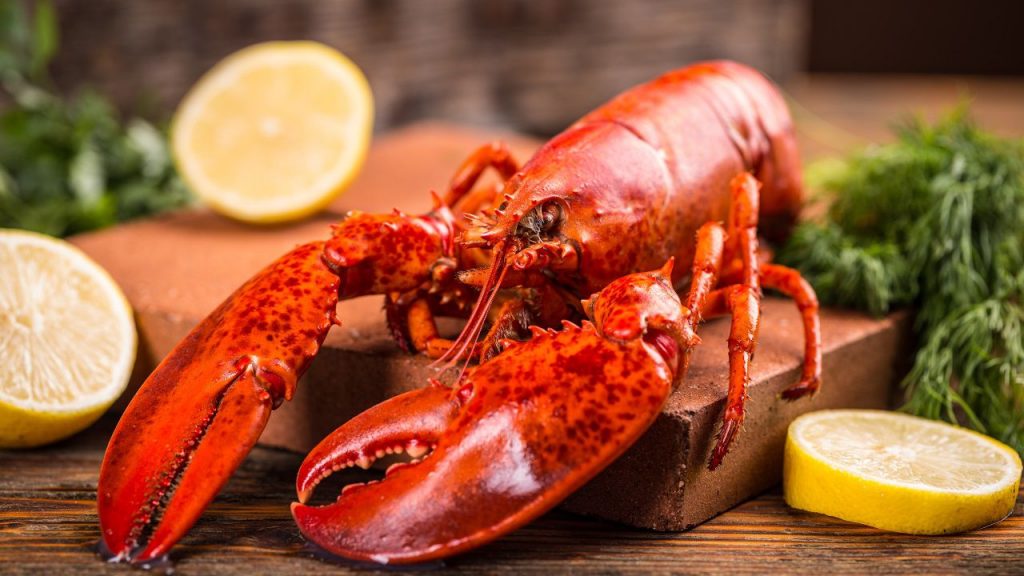 Gambas y langostinos cómo comprarlos frescos y congelarlos para que estén perfectos para Nochebuena