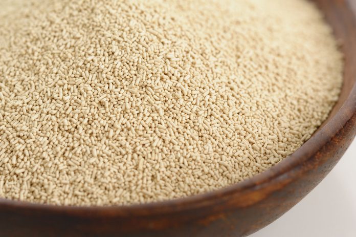 Usar levadura para limpiar