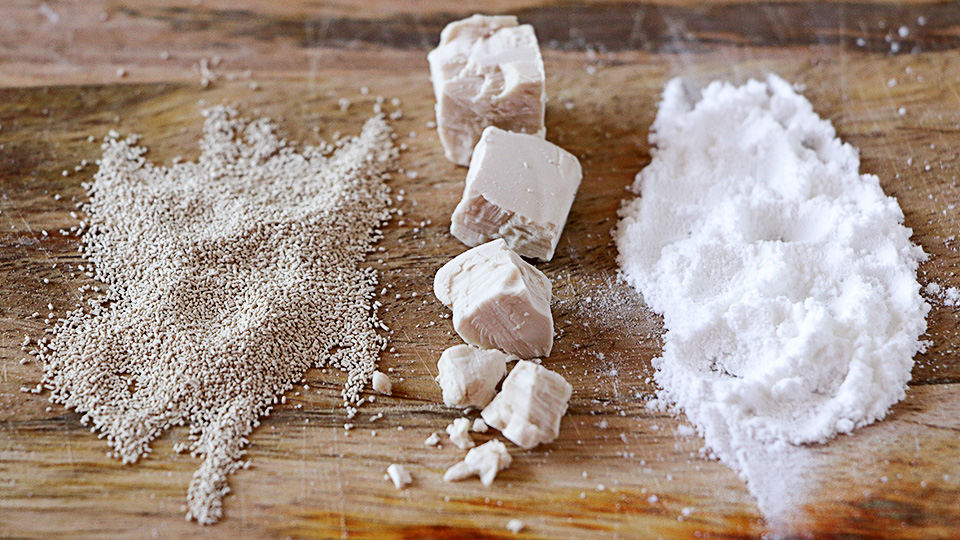 Cómo congelar la levadura 5 Beneficios