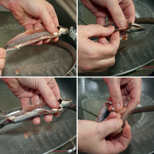 Cómo hacer unos boquerones en vinagre caseros ideales para los aperitivos de Navidad 37 ¿Cuál es el proceso para preparar boquerones?