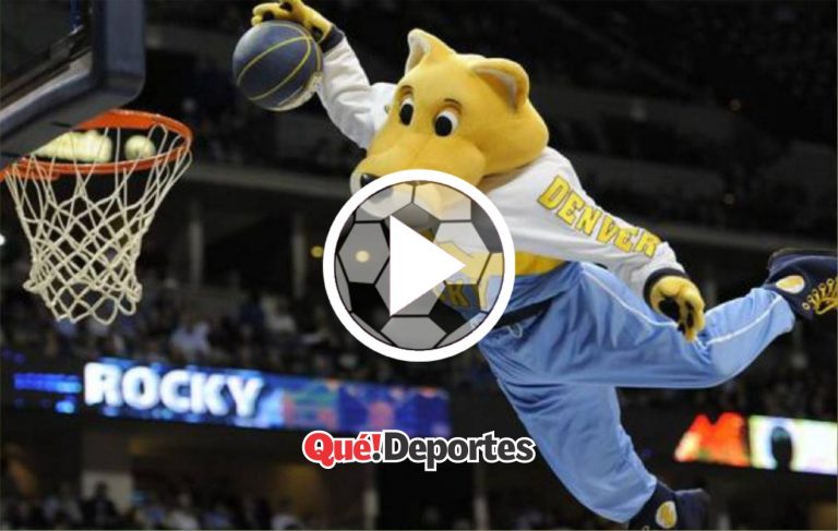 Estas mascotas no están locas ¡Estan loquísimas!