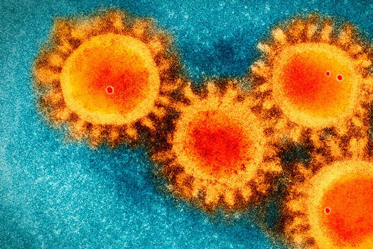 La UJI lidera un estudio para diseñar moléculas bloqueadoras del SARS-CoV-2