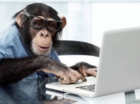 monos Monos experimentan conscientemente el mundo visual como los humanos