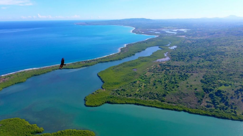 Características de una península