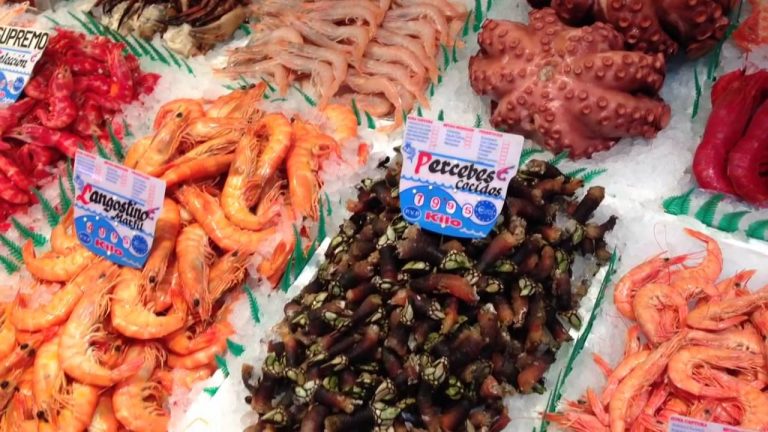 Gambas y langostinos cómo comprarlos frescos y congelarlos para que estén perfectos para Nochebuena