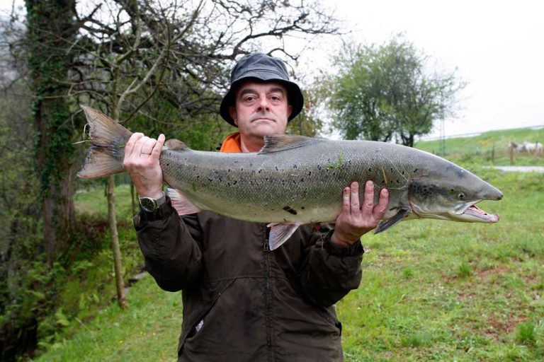 Pescado: estos son los que debes congelar antes de comerlos