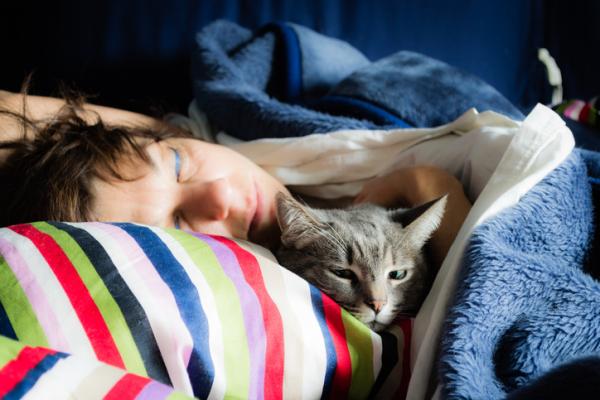 Por qué si tienes un gato deberías dormir más a menudo con él