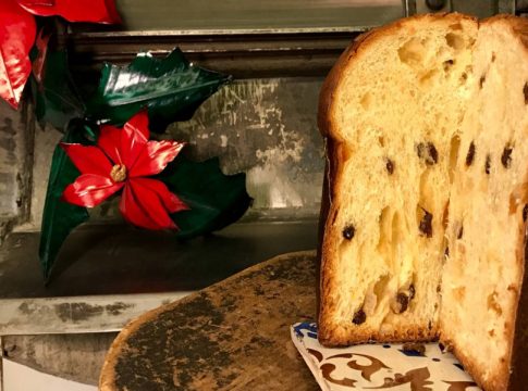 portada panettone