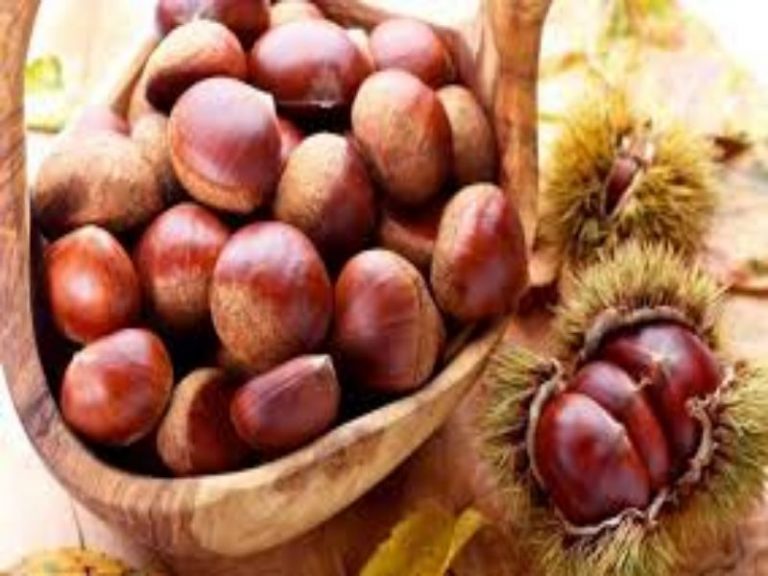 Cómo pelar fácilmente las castañas