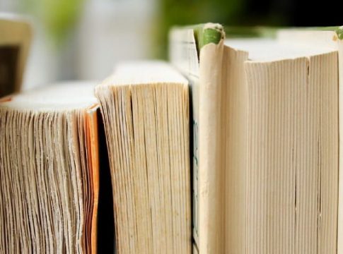 premio novela vargas llosa