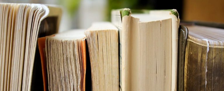 'Albert Speer, un día' gana el premio de novela Vargas Llosa