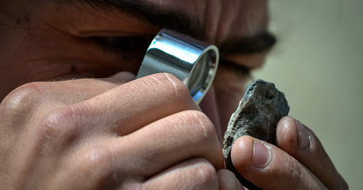 ¿Cuáles son las ramas de estudio?