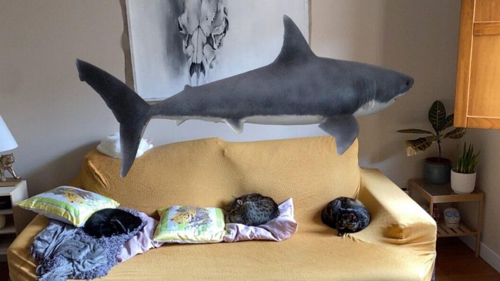 Google Photos Así puedes añadir 3D a tus fotos