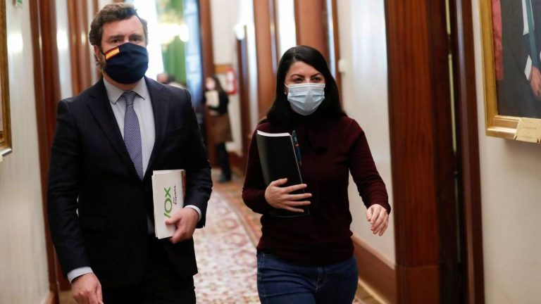 El TC inadmite el recurso de Vox contra la prórroga del Estado de alarma