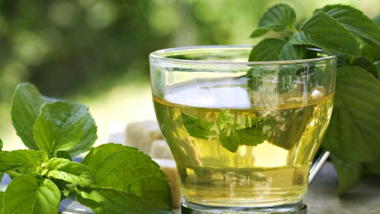 Té verde: los mitos y verdades sobre su milagroso poder para adelgazar