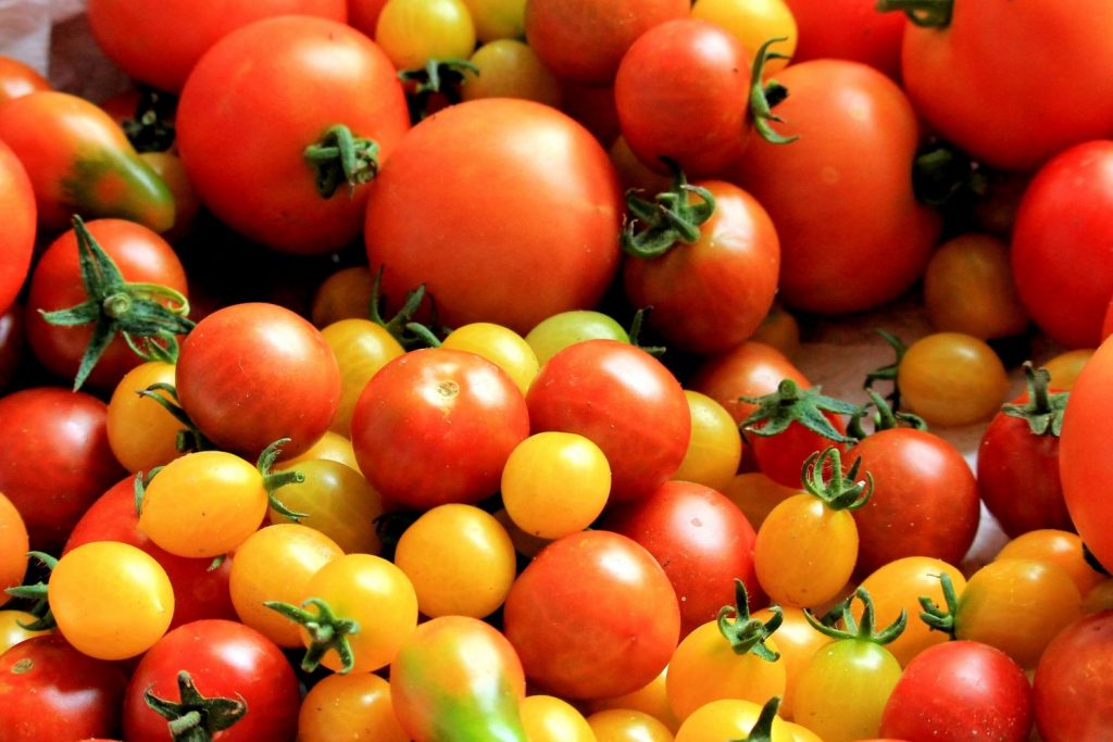 Por qué los tomates no tienen el mismo sabor que antes