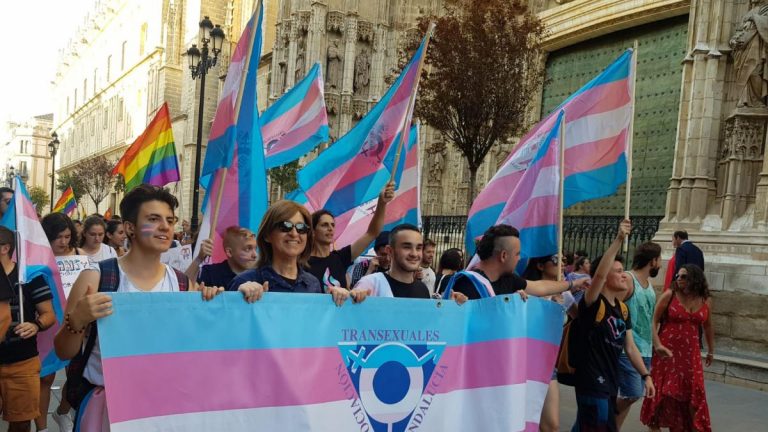 El Ministerio de Igualdad informa que habrá texto de la 'Ley Trans' a comienzos de 2021