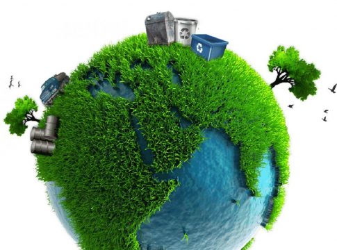 transicion ecologica