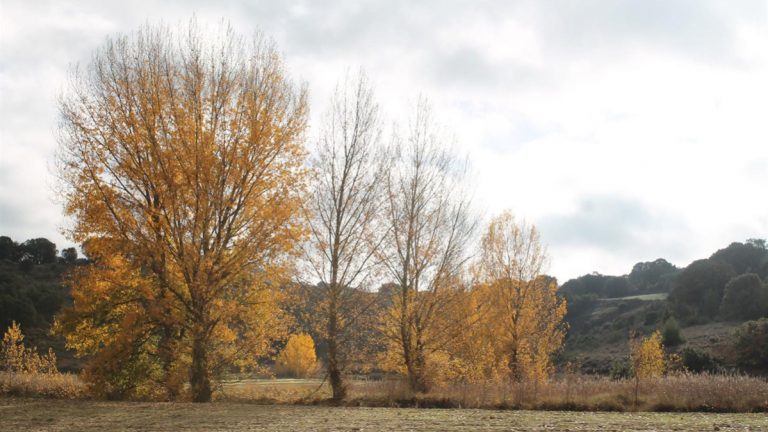 La Comunidad Valenciana registra el noviembre más cálido de la década