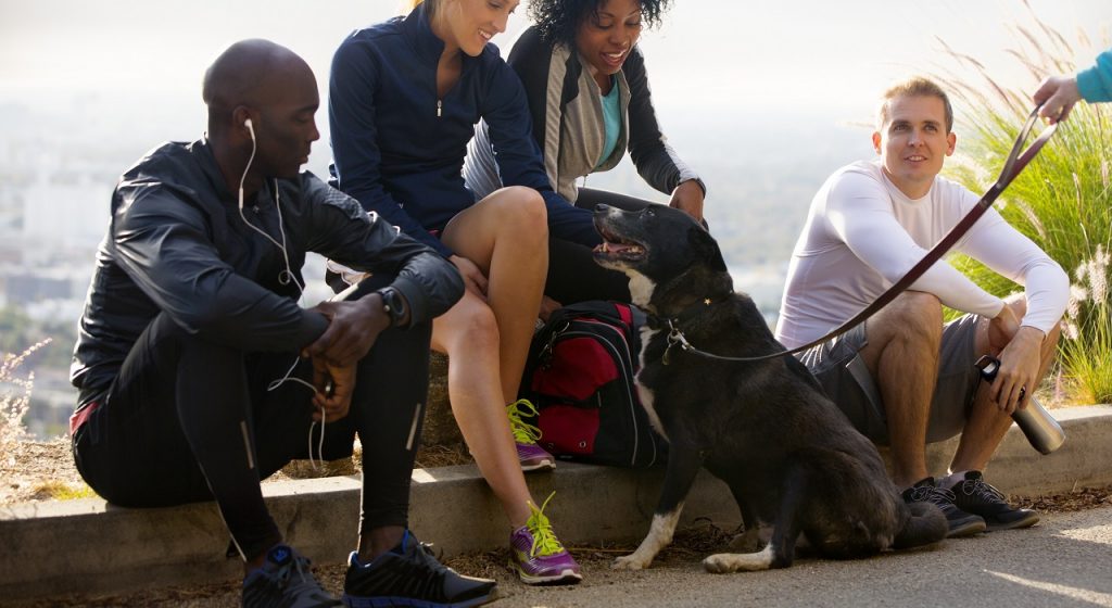 Lo que nadie te cuenta de adoptar un perro