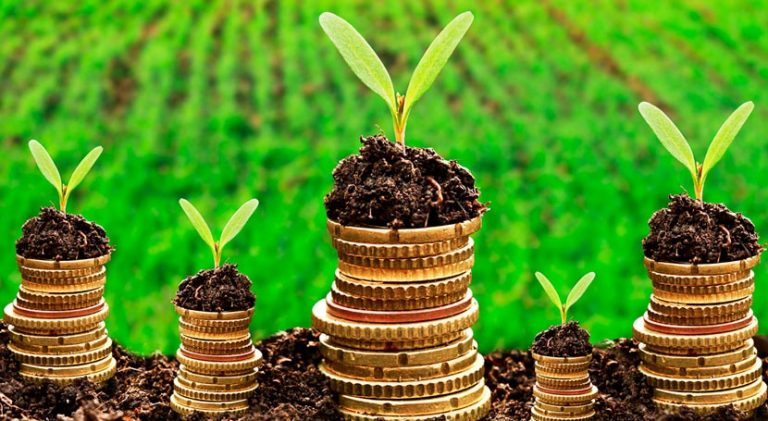 WWF alerta al sector financiero de los riesgos del cambio climático