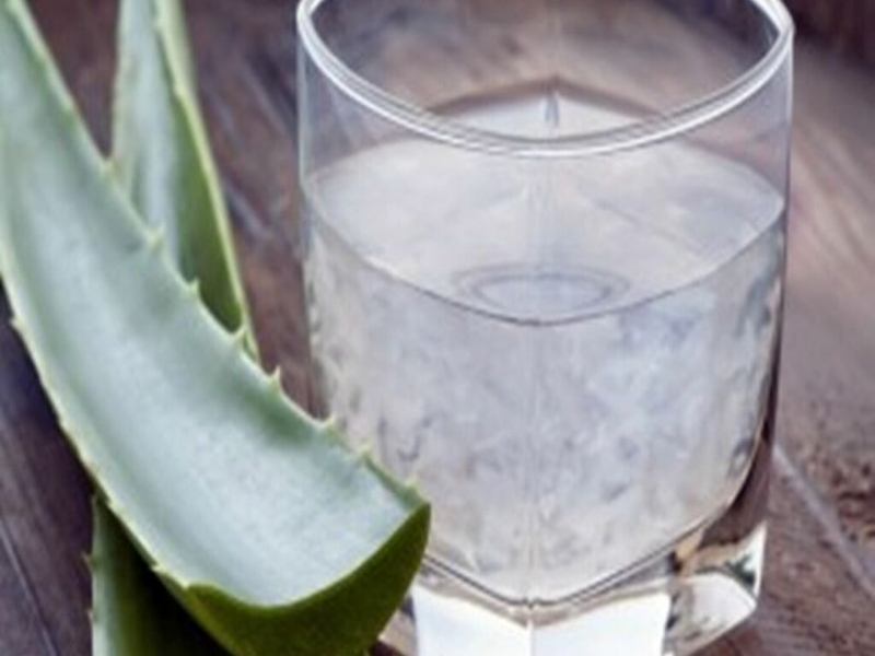 aloe vera para el estomago