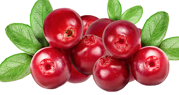 12 alimentos que frenan la oxidación