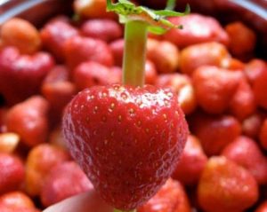 12 ingeniosos trucos que haran tu vida mas facil 10