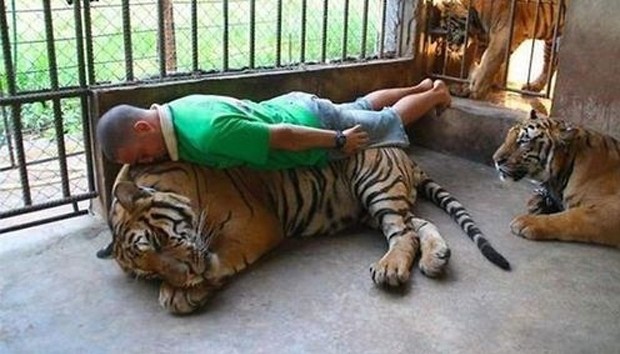 20 imágenes que te hacen perder la fe en la humanidad