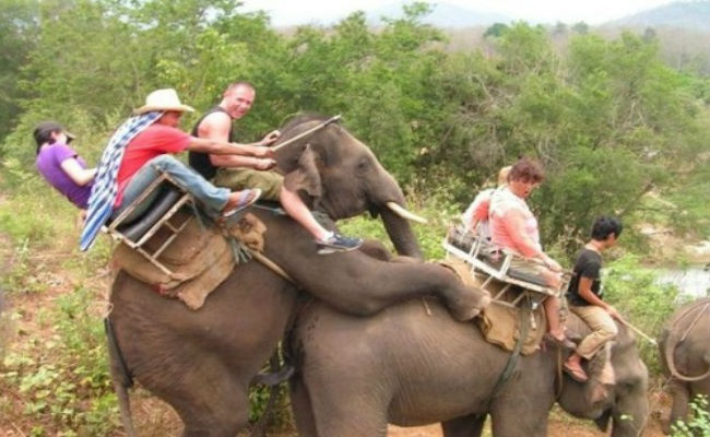 20 imágenes que te hacen perder la fe en la humanidad