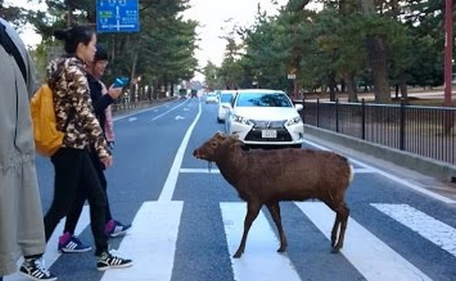 20 imágenes que te hacen perder la fe en la humanidad