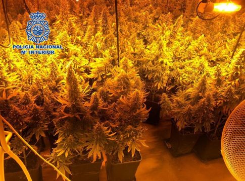 Dos detenidos por secuestrar a un hombre para cuidar dos semanas de su marihuana Dos detenidos por secuestrar a un hombre para cuidar dos semanas de su marihuana