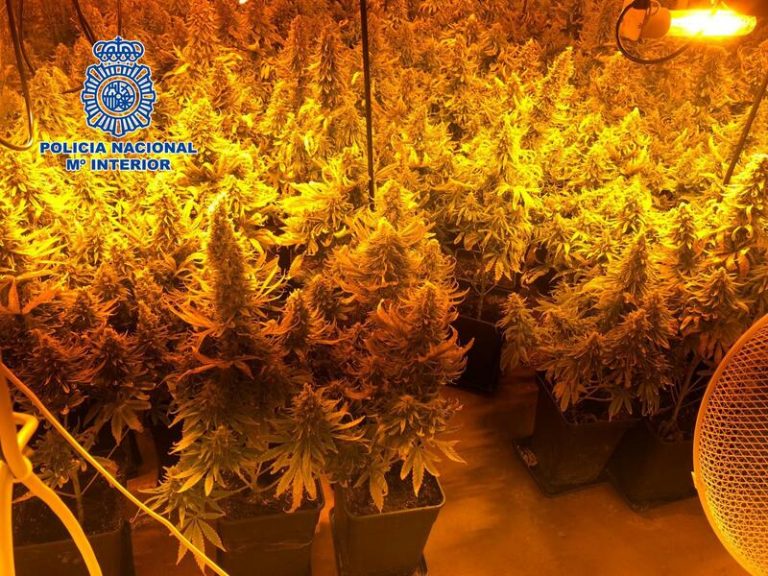 Dos detenidos por secuestrar a un hombre para cuidar dos semanas de su marihuana