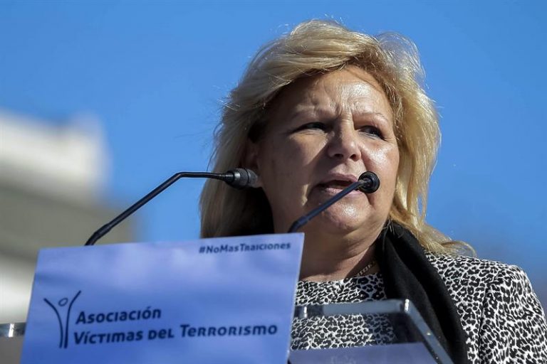 La AVT recuerda que el 15% de etarras están ya en País Vasco o Navarra