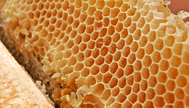 Alimentos peligrosos que comes día a día