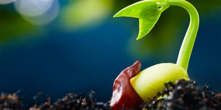 Qué es la biotecnología