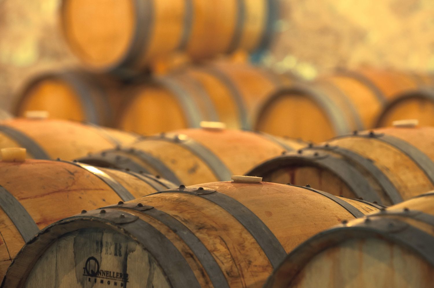 Citius 2016, el Pinot Noir made in Spain 2 Citius