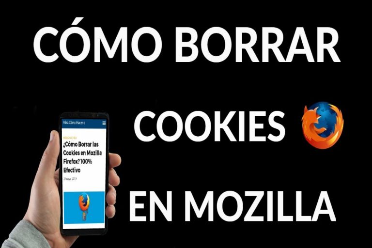 Cómo borrar las cookies en Mozilla Firefox