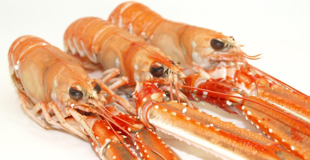 Como detectar que te estás volviendo gay