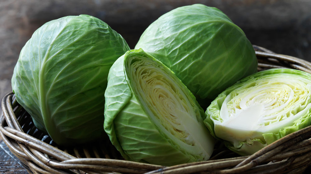 Cómo hacer una col gratinada que no se queme 2 Como hacer una col gratinada que no se queme 2